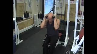 Cable Seated Crunch